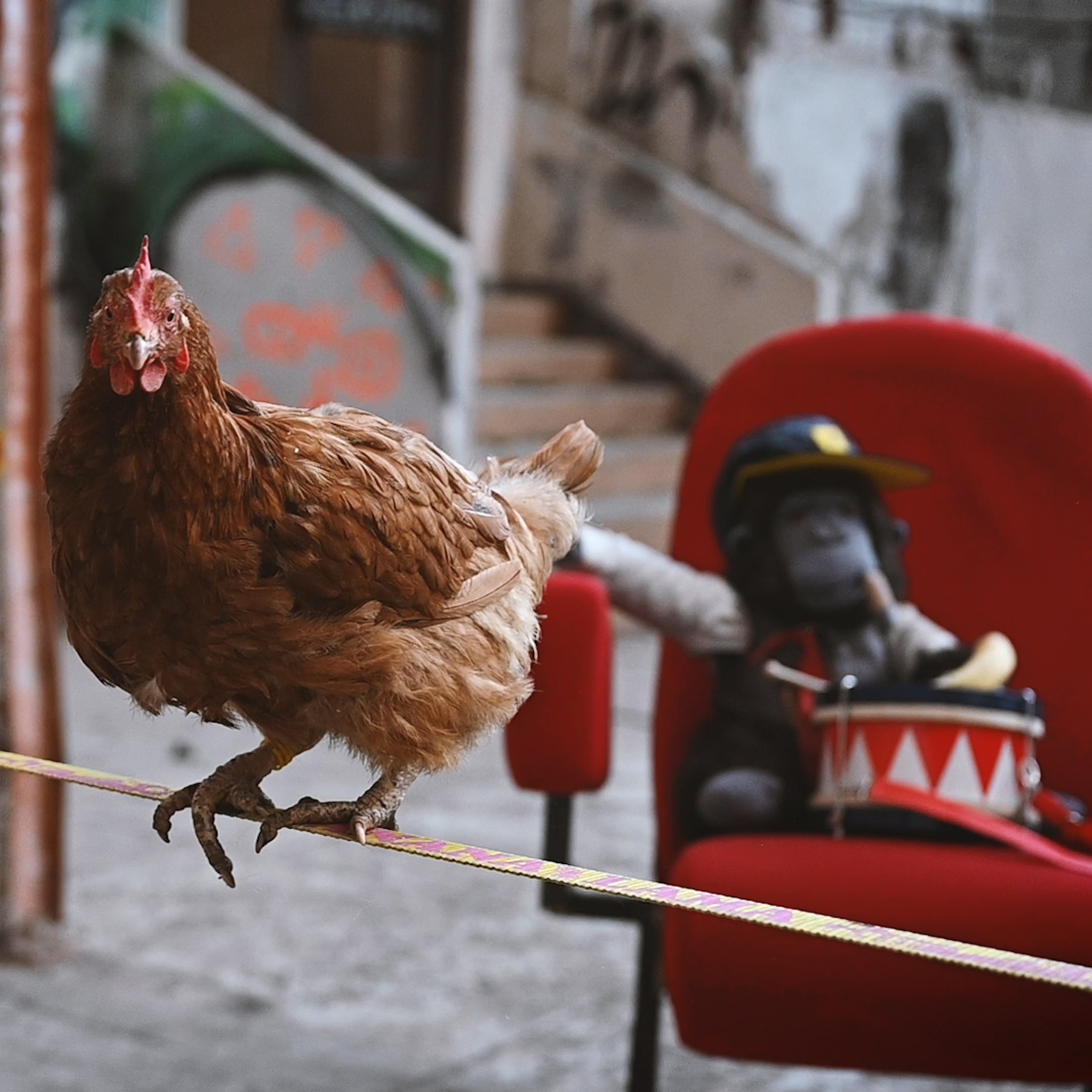 Gibbon - Slackline-Set Bananalama Xl Treewear Set - Blue/Yellow