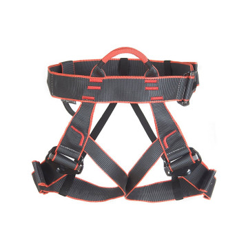Edelweiss Mygale-2 Harness